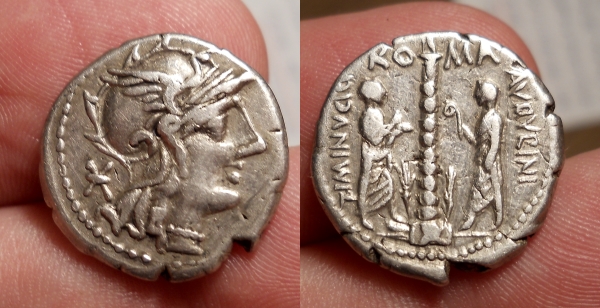 minucius 6.jpg