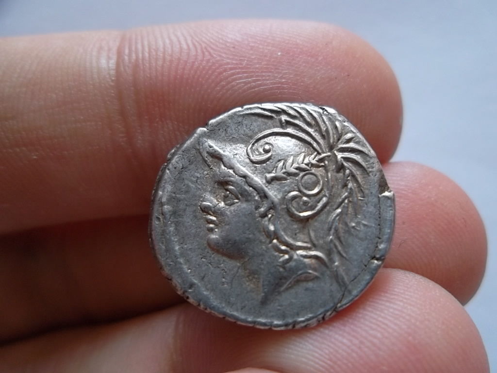 Minucius Thermus obv.JPG