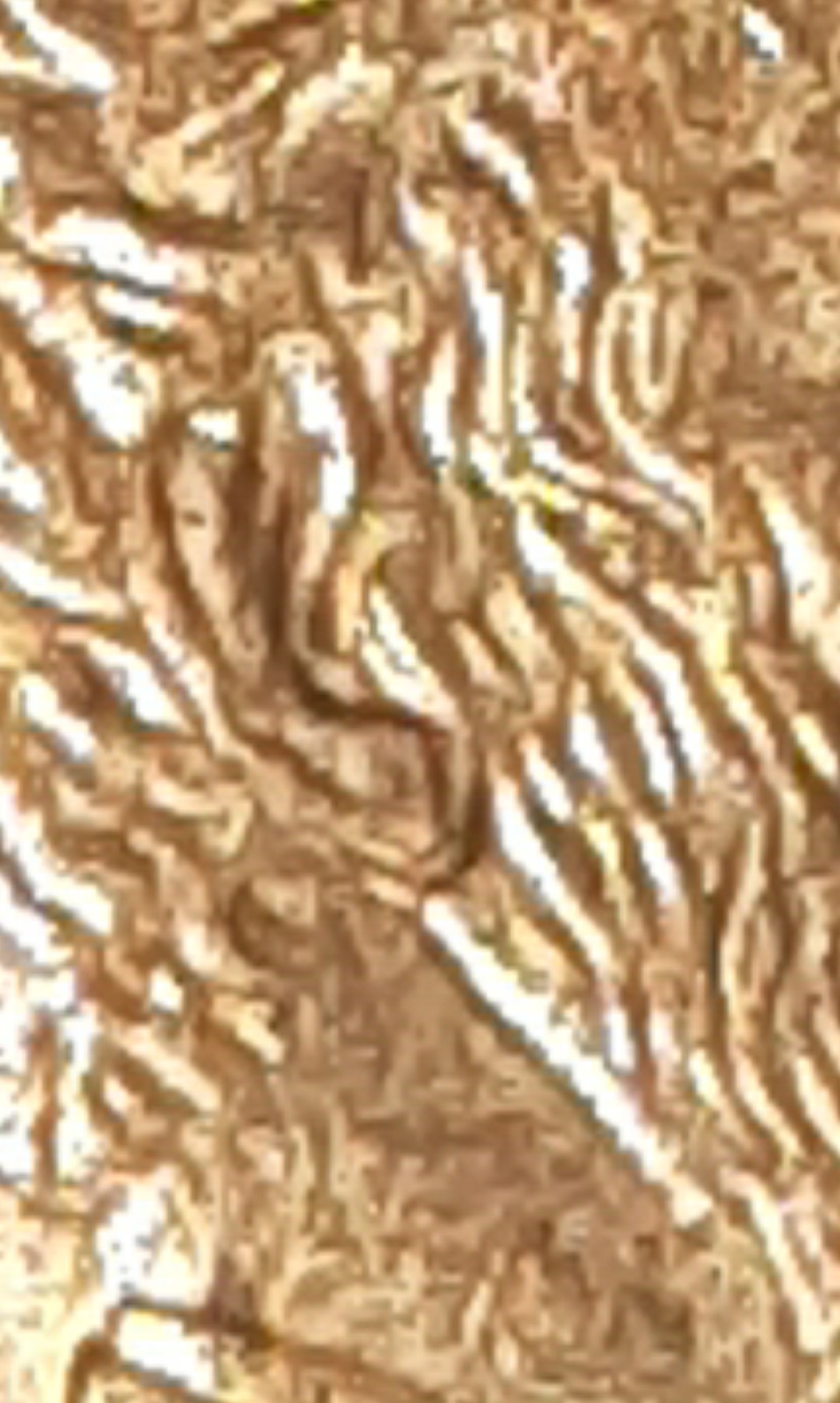 mir_20201120_163705.jpg