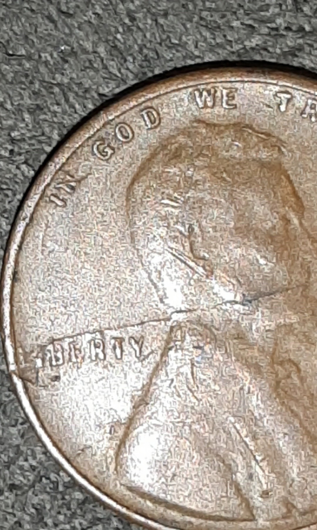 mir_20201122_075823.jpg