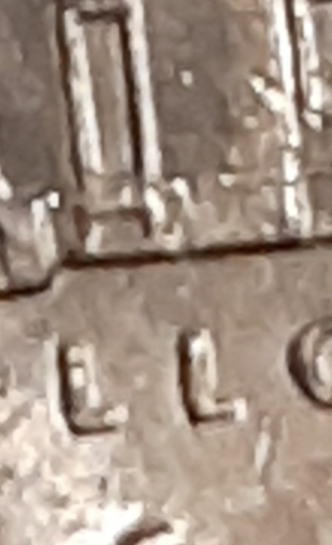 mir_20210120_162900.jpg