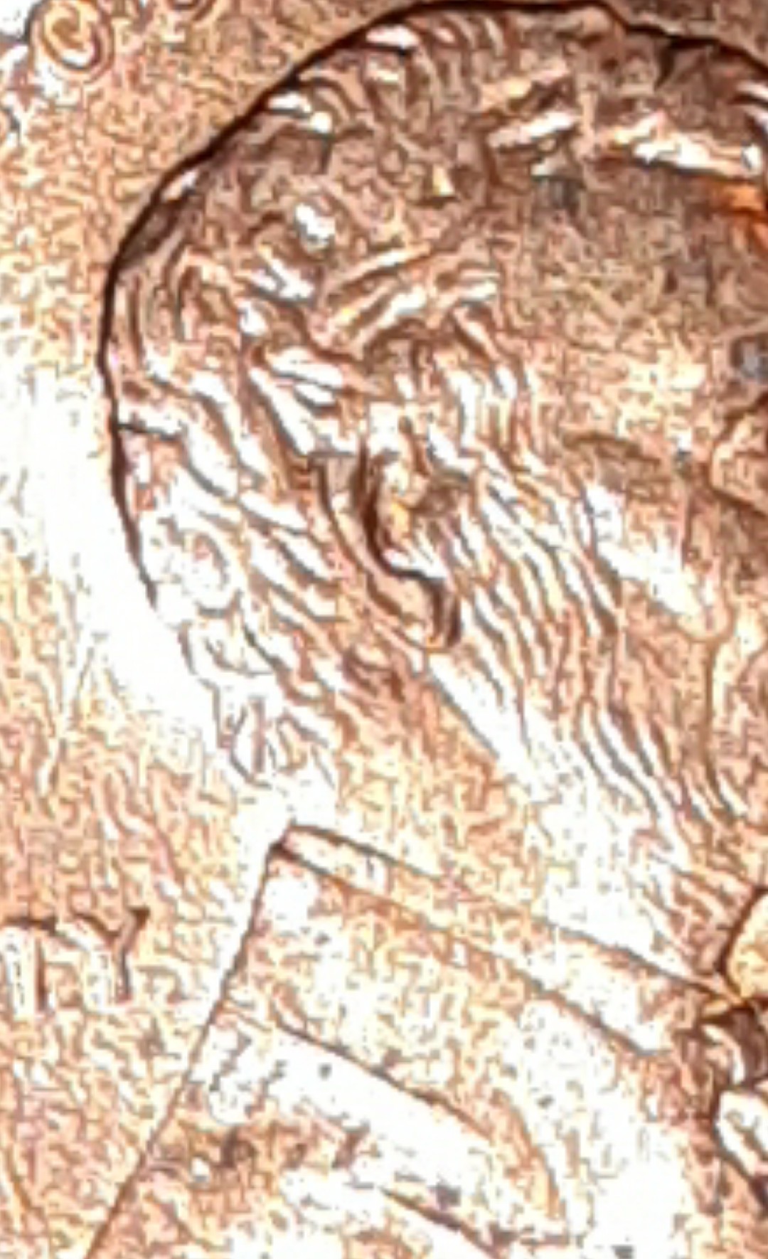 mir_20210215_092650.jpg