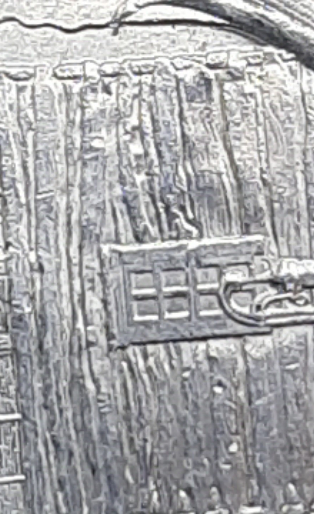 mir_20210302_115122.jpg