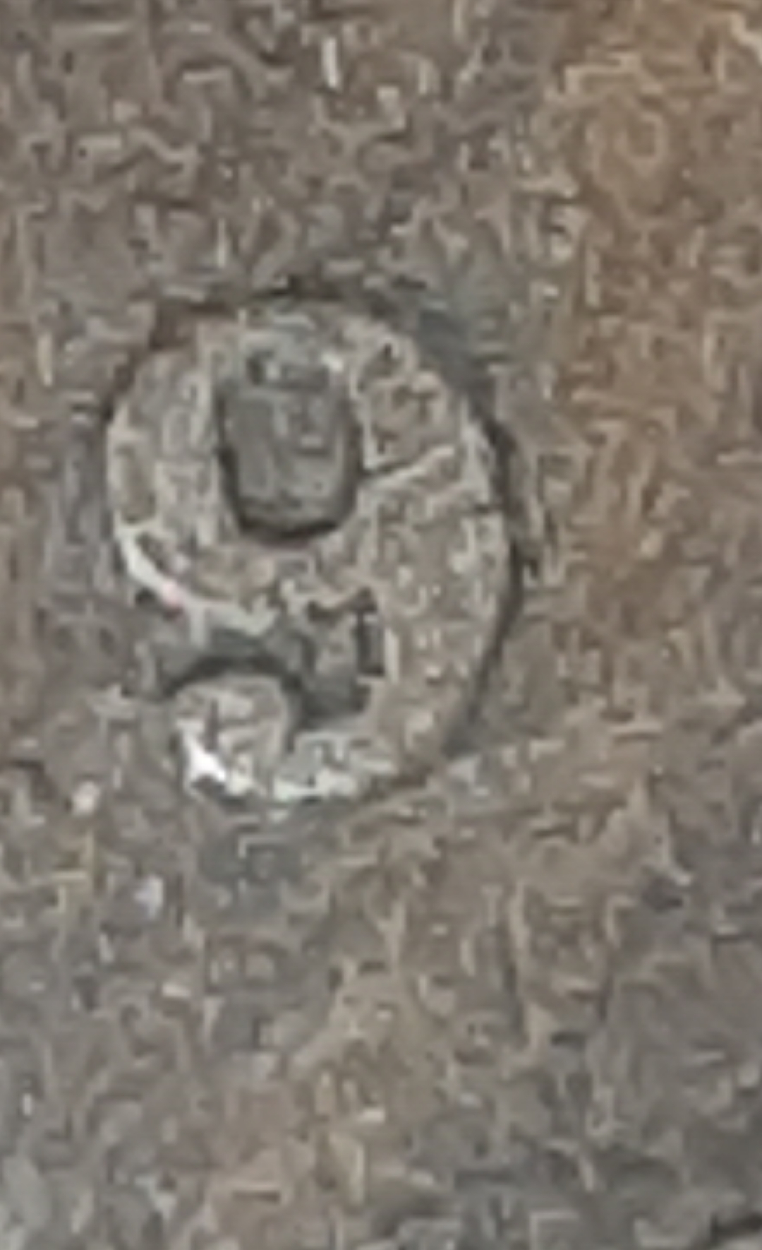 mir_20210929_181253.jpg