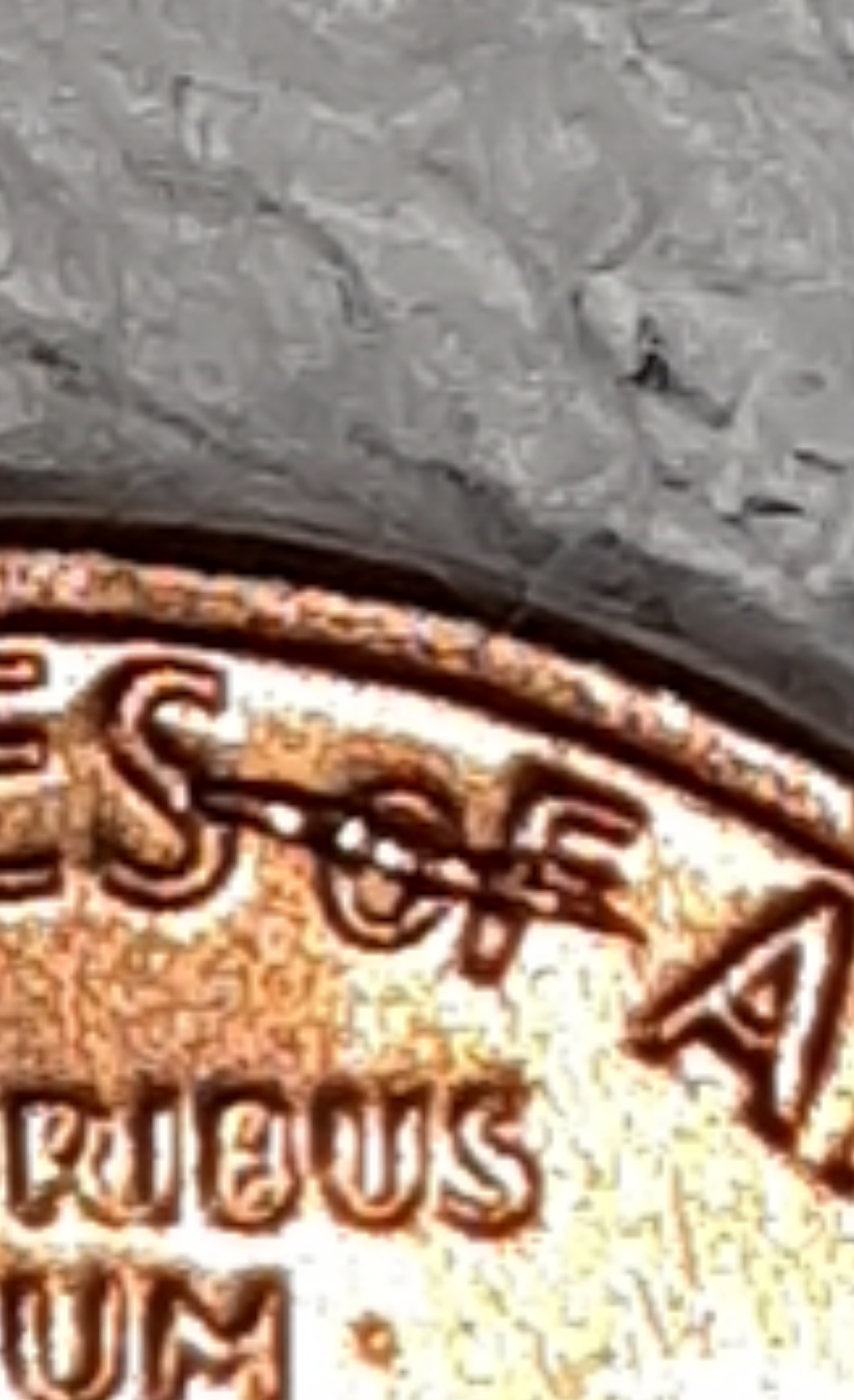 mir_20211101_113903.jpg