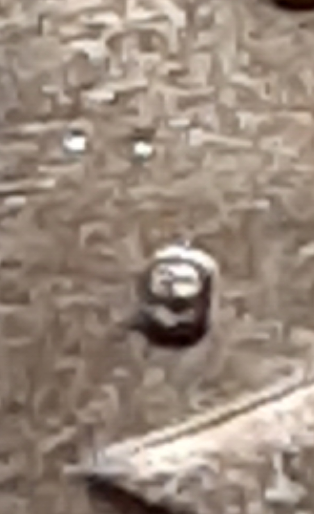 mir_20211102_144257.jpg
