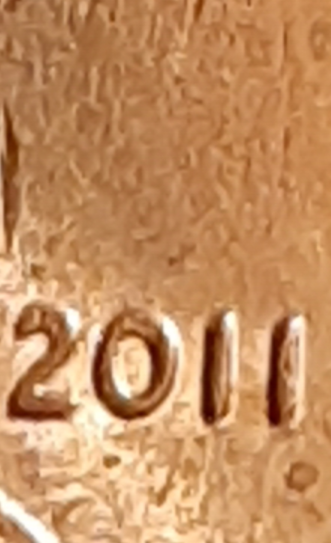 mir_20220125_064956.jpg