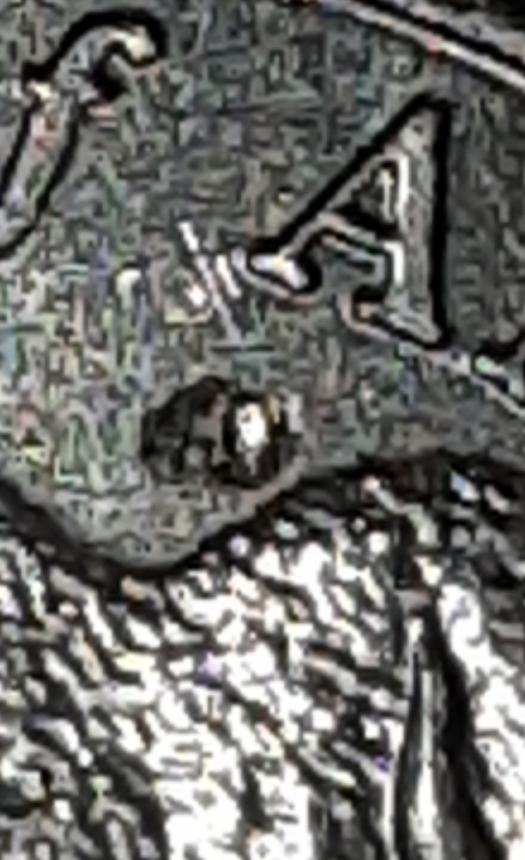 mir_20220203_181848.jpg