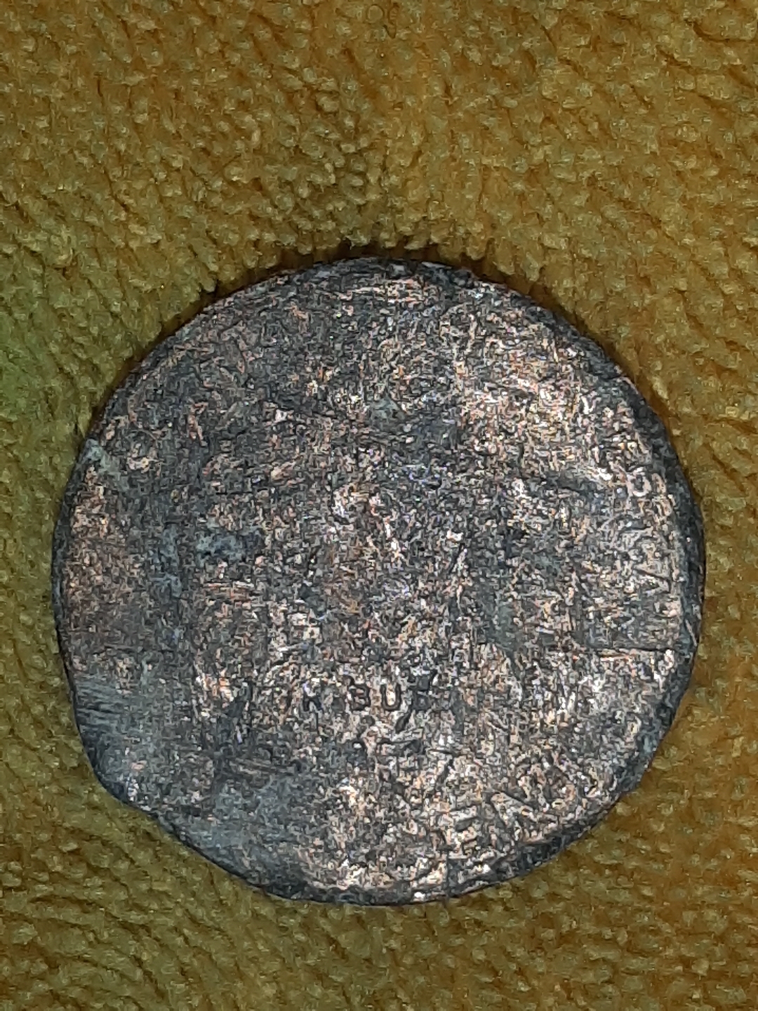 mir_20220206_130244.jpg