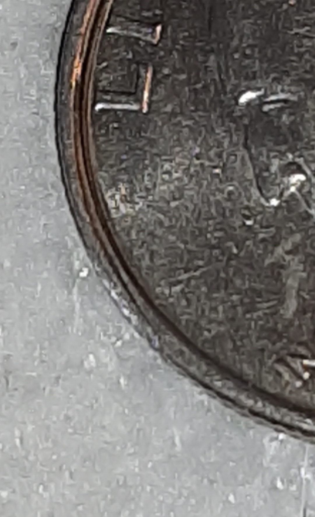 mir_20220301_124149.jpg