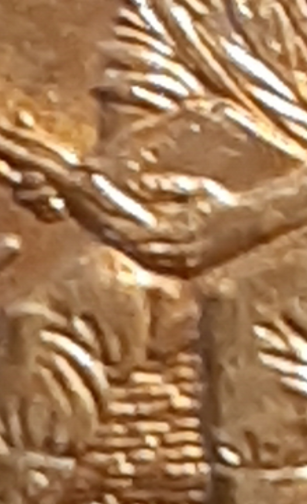 mir_20220309_084747.jpg