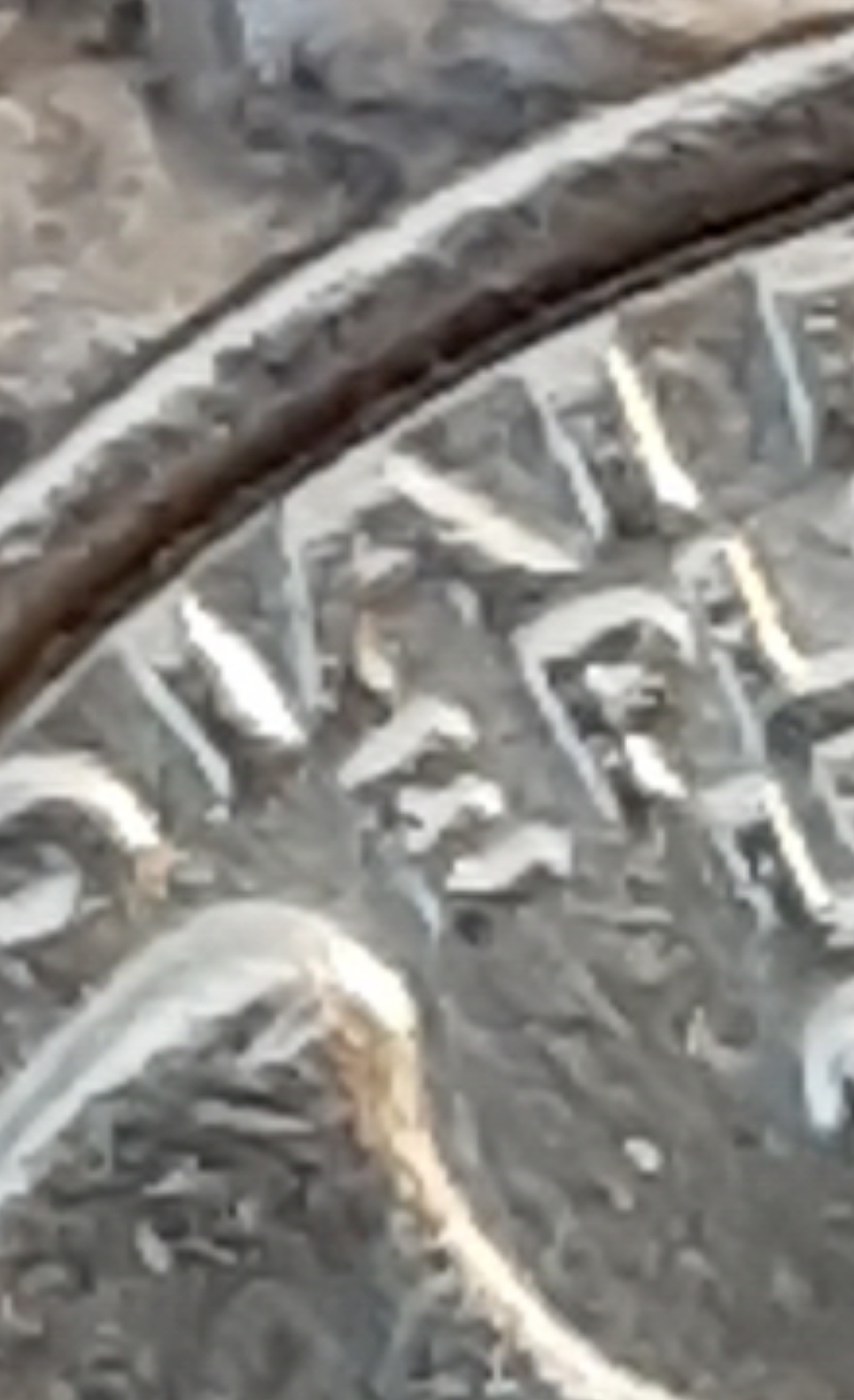 mir_20220309_152833.jpg