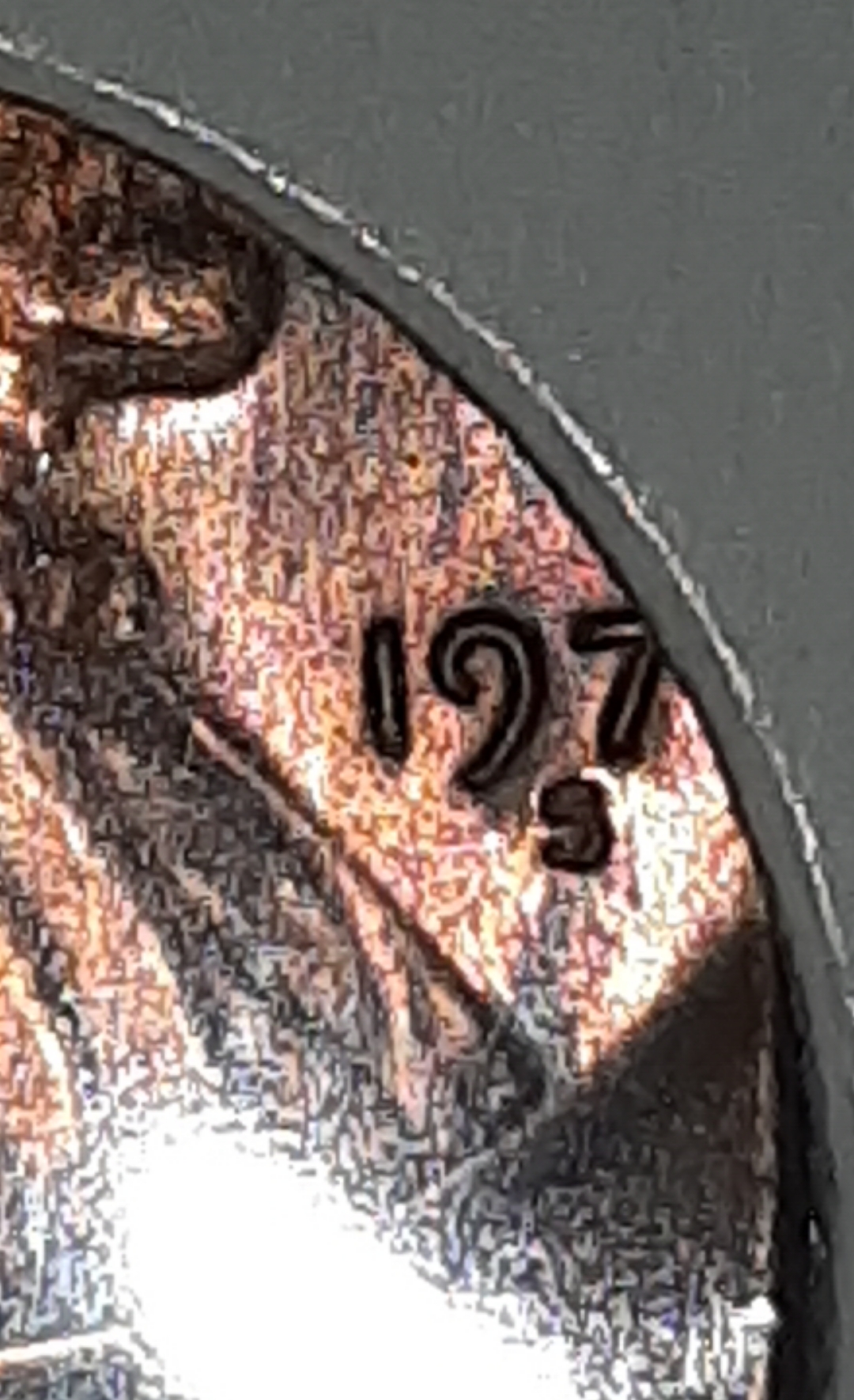 mir_20220312_132748.jpg