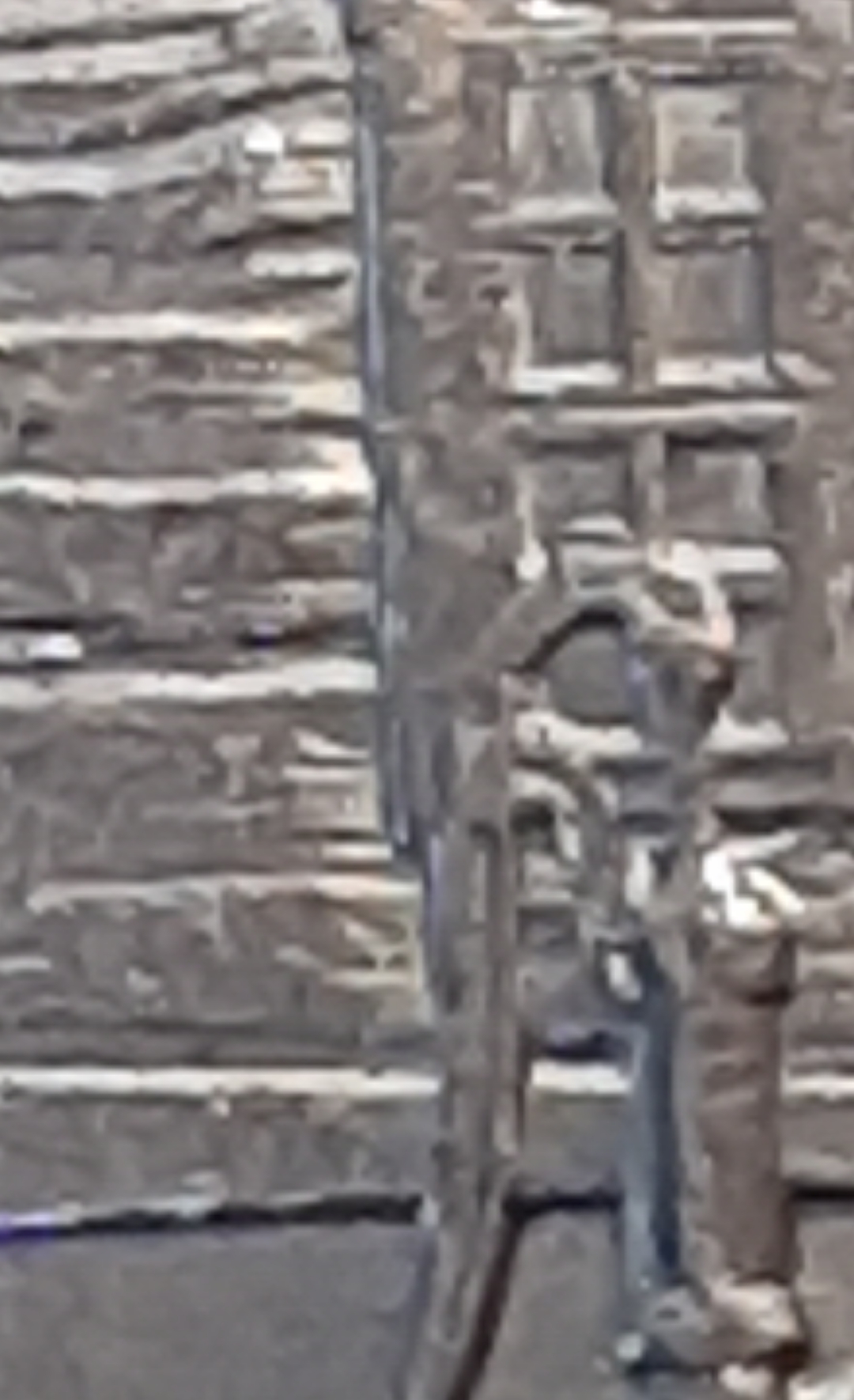 mir_20220316_142324.jpg