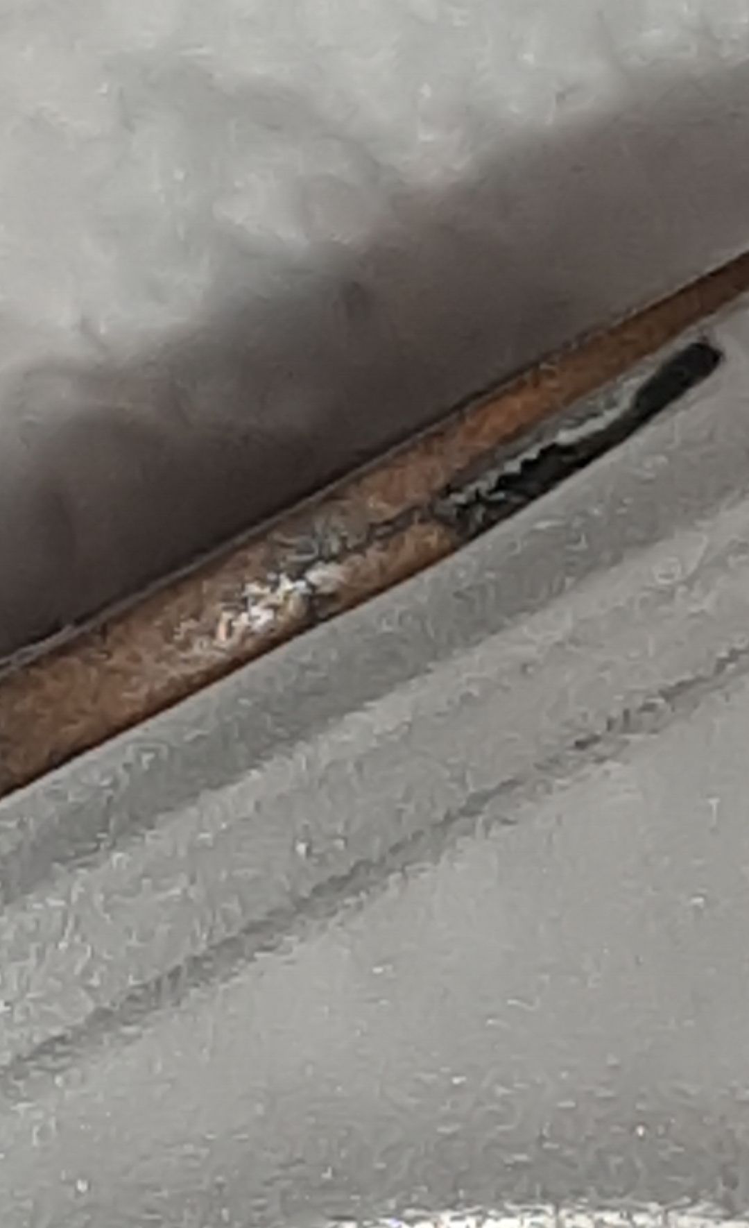 mir_20220320_092013.jpg