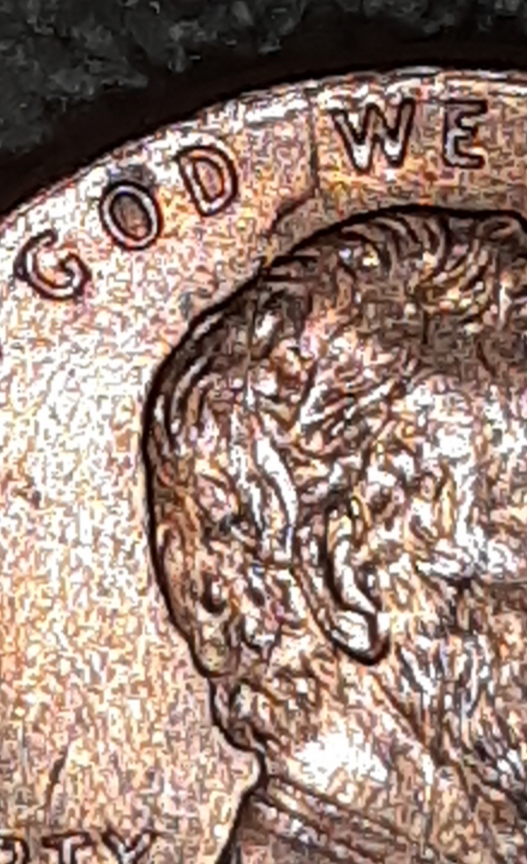 mir_20220608_085251.jpg