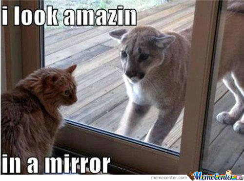 mirror_o_286755.jpg