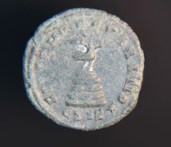 mis reverses 010_opt.jpg