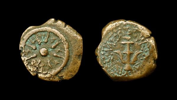 mite 6.jpg
