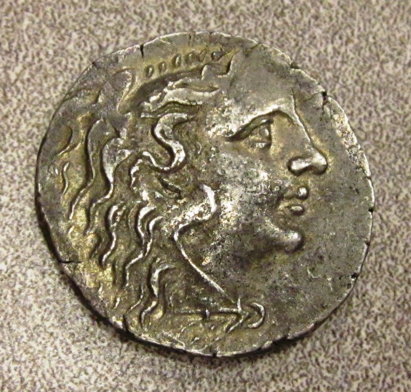 Mithradantes IV Obv 2.jpg