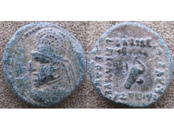 Mithradates III AE.jpg
