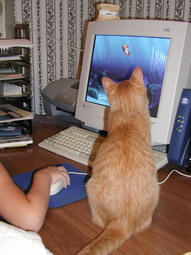 mittensFOUNDNEMO.jpg