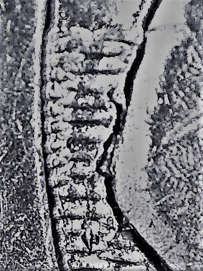 mmm-2.jpg