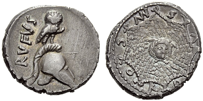 Mn Cordius Rufus NAC 2013.jpg