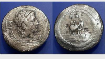 MN. FONTEIUS CF 1.jpg