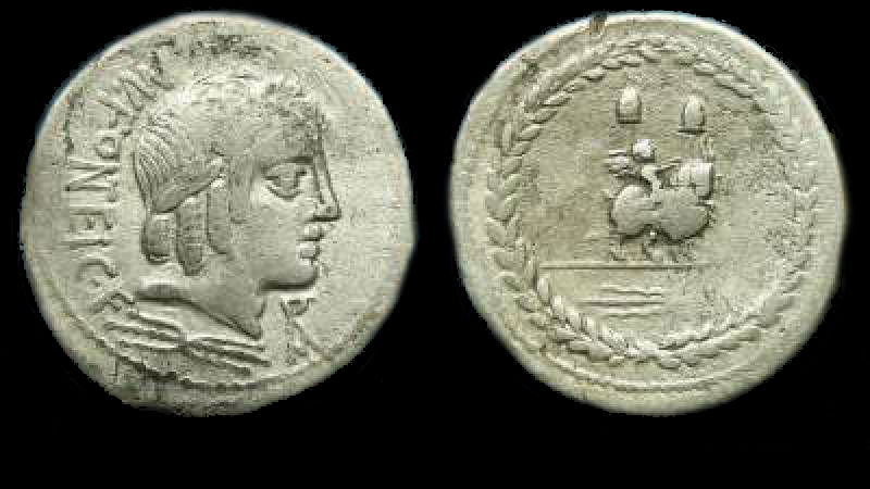 MN. FONTEIUS CF 2.jpg
