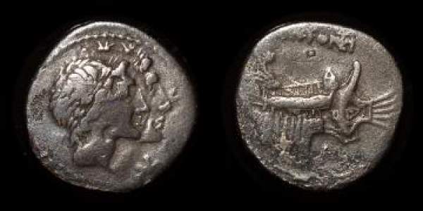 MN FONTEIUS.jpg