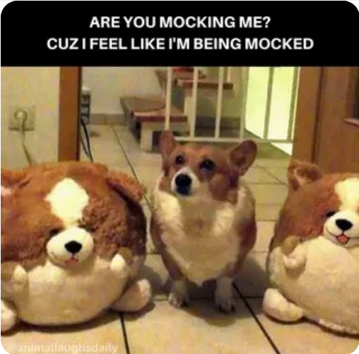 mock.png