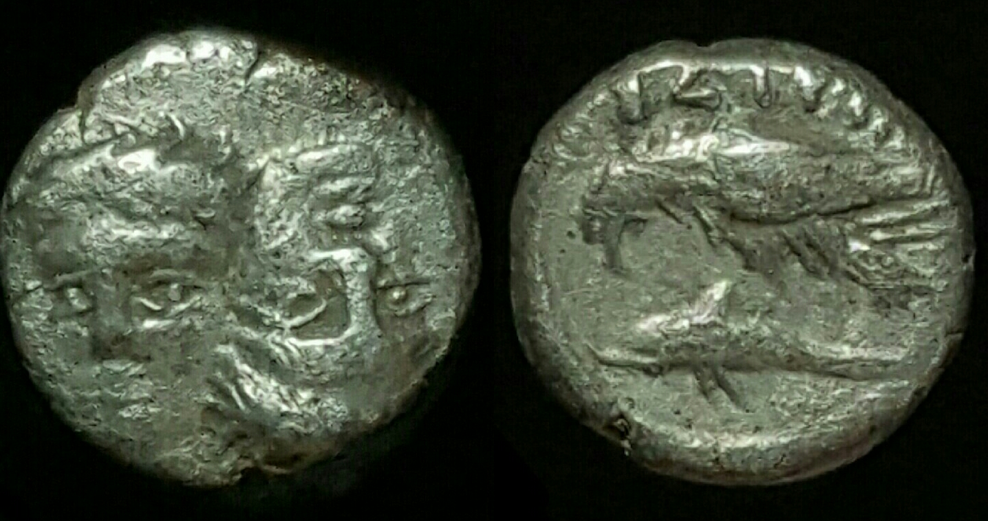 Moesia,Istros-sea eagle[SNG BM250].jpg
