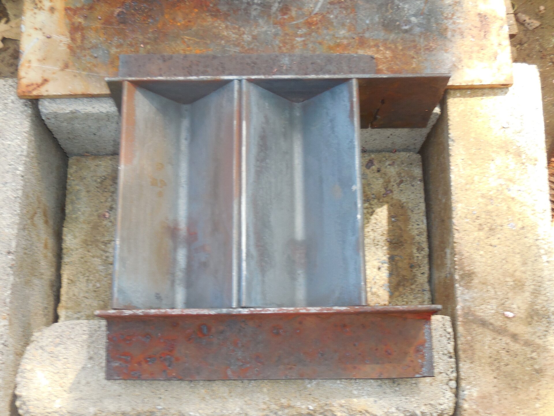 mold.jpg