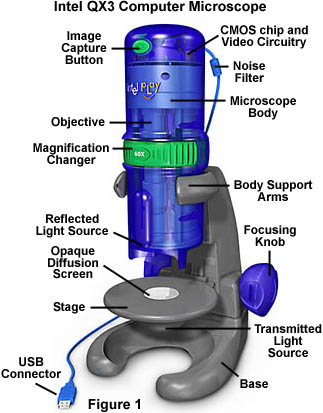 Molecular Science Florida State Intel Play.jpg