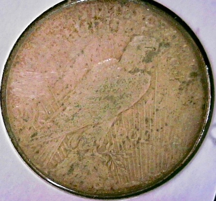 Mom's silver dollar.jpg