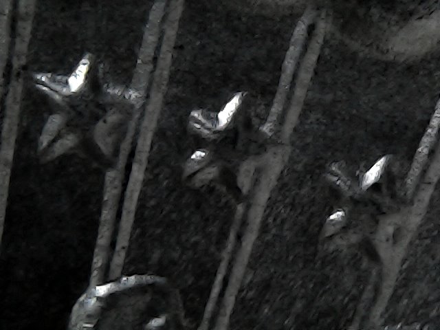 Mon Jul 06 21-28-19.jpg
