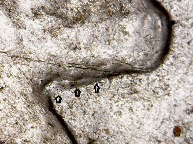 Mon May 25 08-31-51.jpg