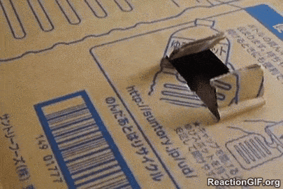Money-Stealing-money-Steal-money-Coin-Stealing-coin-Cat-GIF.gif