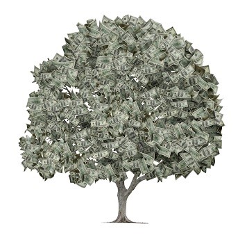 money-tree.jpg