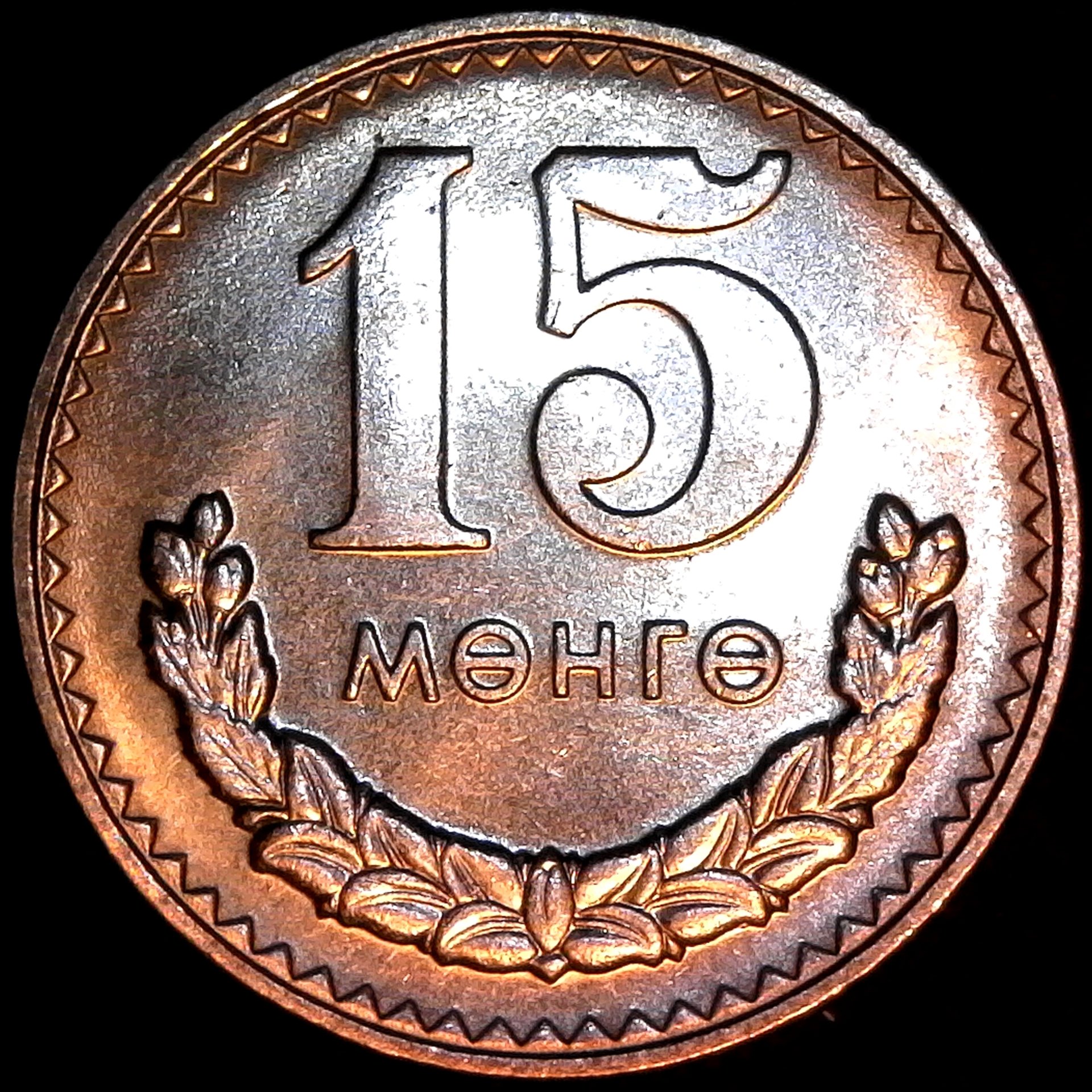 Mongolia 15 Mongo 1981 rev.jpg