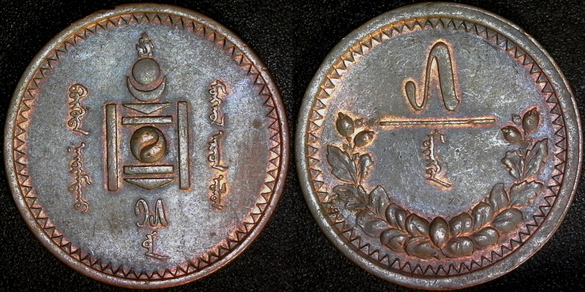 Mongolia 5 Mongo 1925 obv-side.jpg