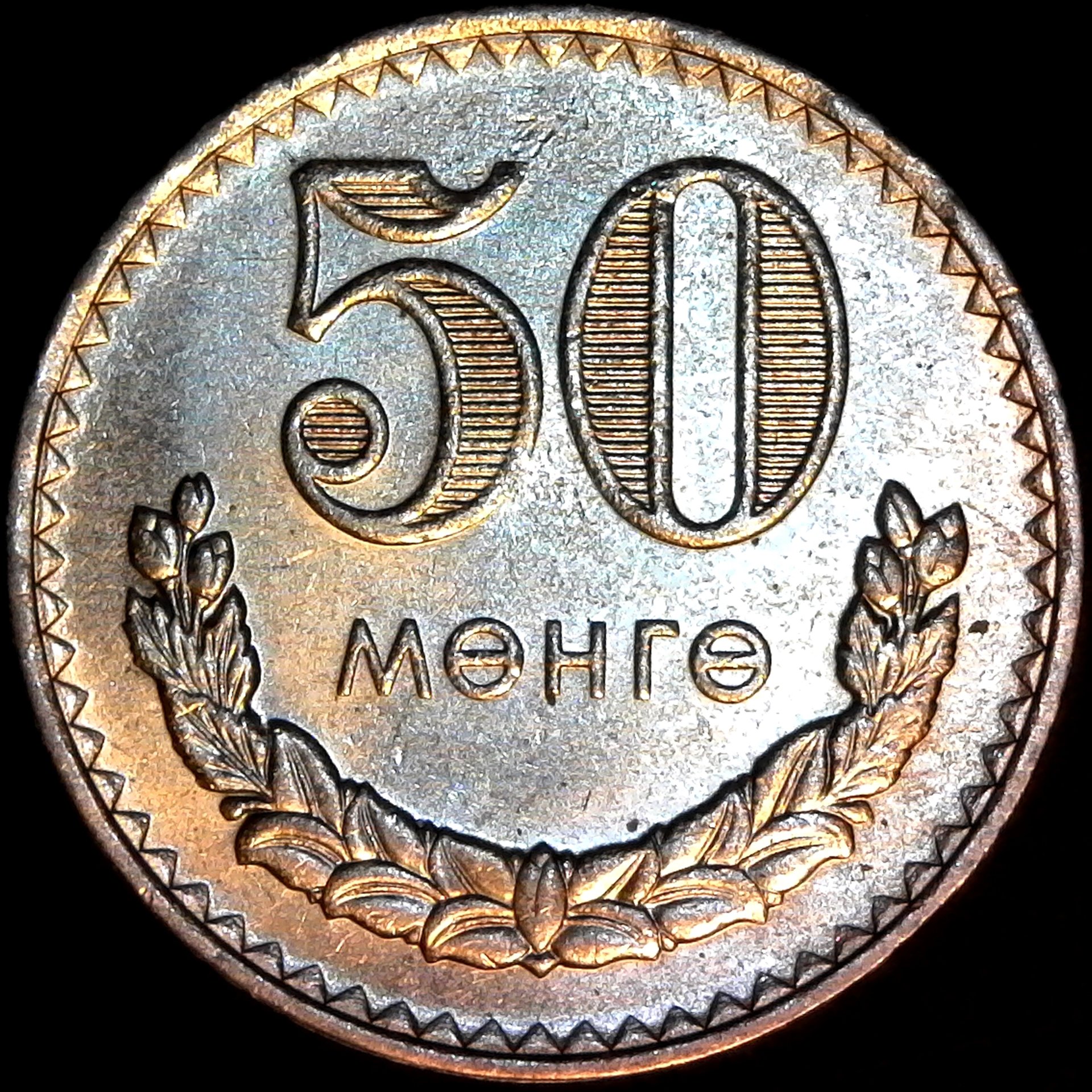 Mongolia 50 Mongo 1980 rev.jpg