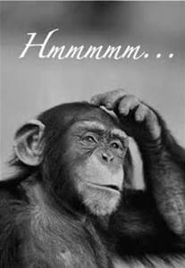 Monkey scratch head.jpg