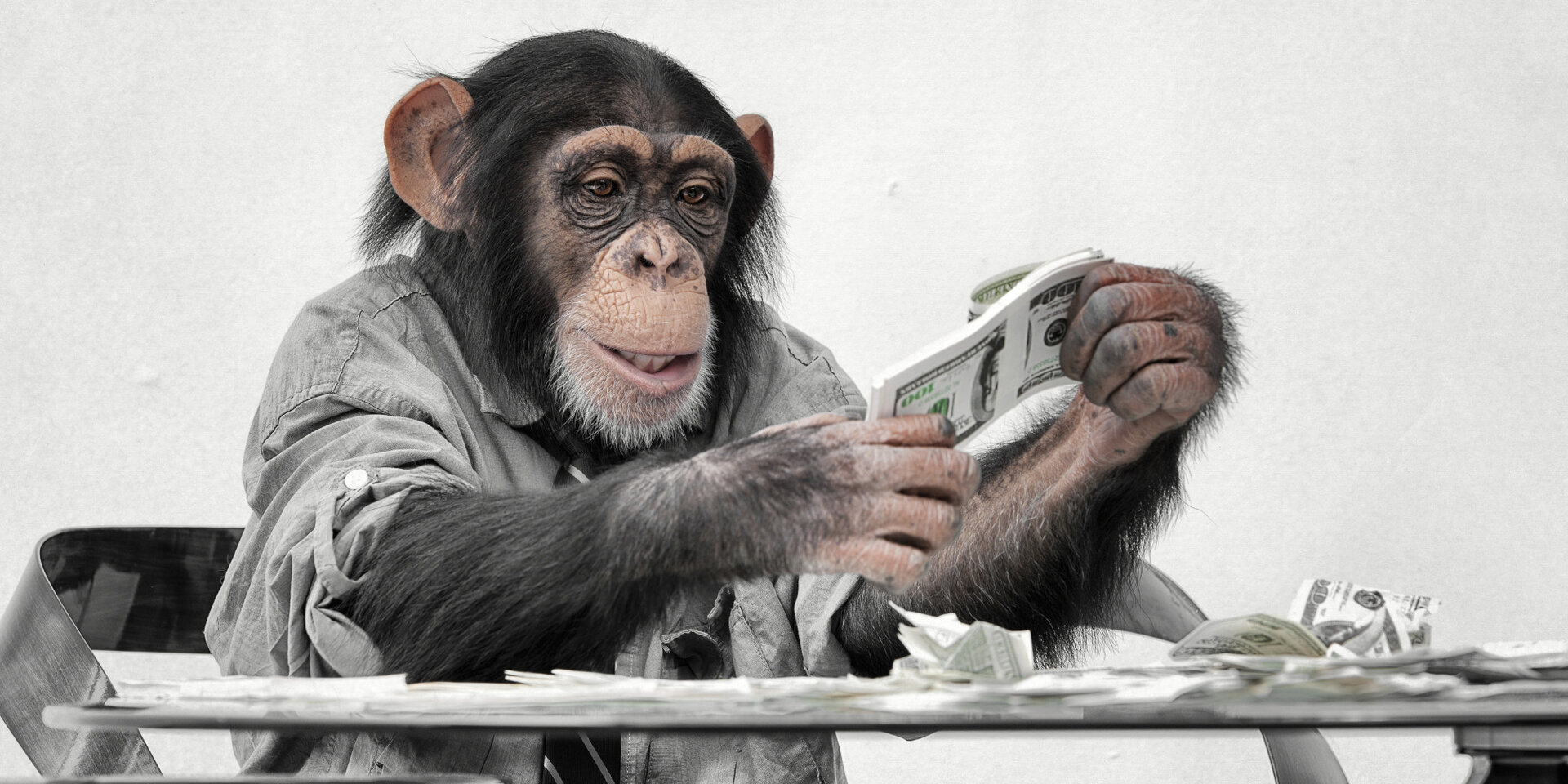 monkeymoney.jpeg