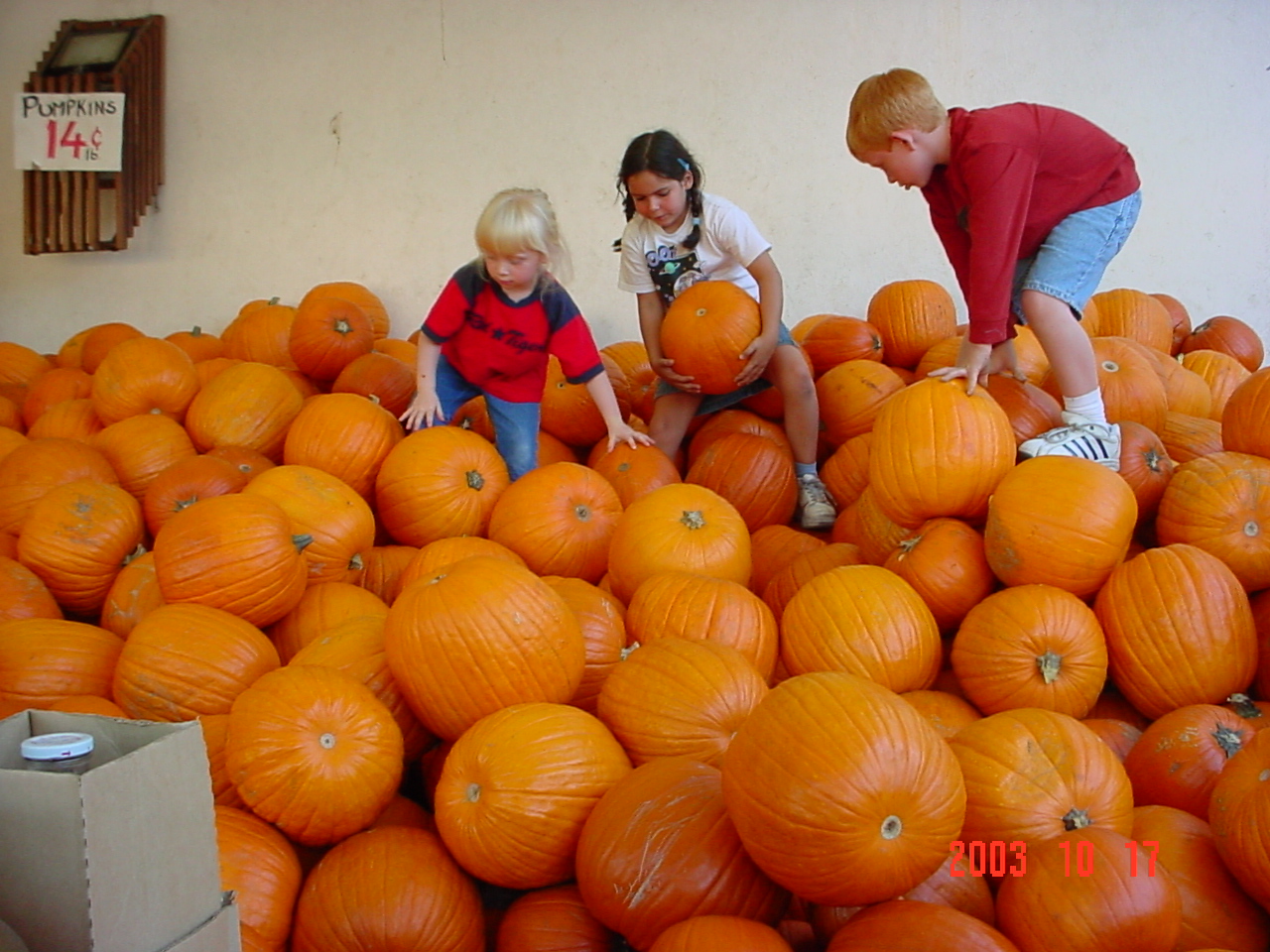 Monterey Market pumpkin pile 1.jpg