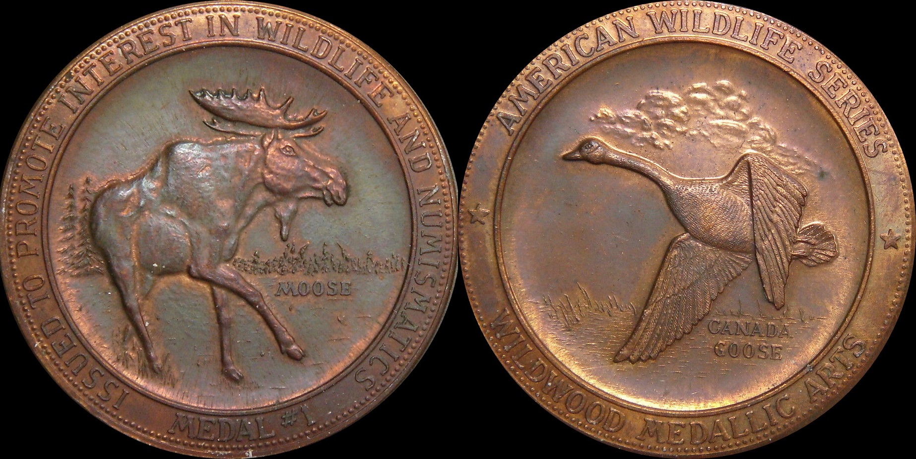moose and coins 1a-tile.jpg