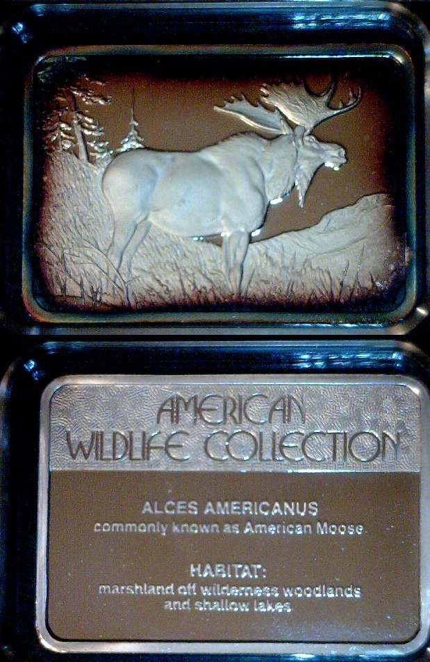 moose bar a.jpg