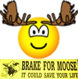 moose-emoticon-vert a.jpg