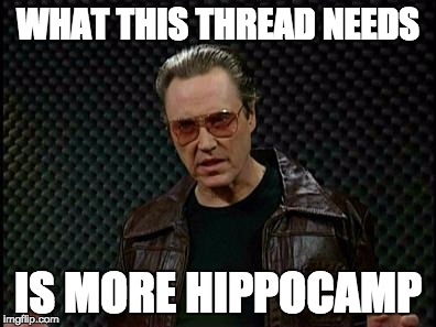 MoreHippocamp.jpg